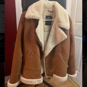 Hollister Winter Jacket. Never worn.